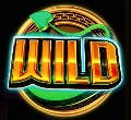 wild symbol